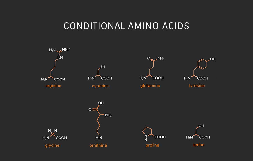 Conditional Amino Acids